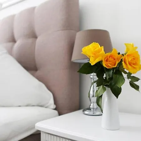 Appartement Sc 06 By Rockchair L Superhost Status L 4 Bedrooms Boxspringbeds 2 Bathrooms Balcony Elevator - Cozy Family & Business Flair Welcomes You!